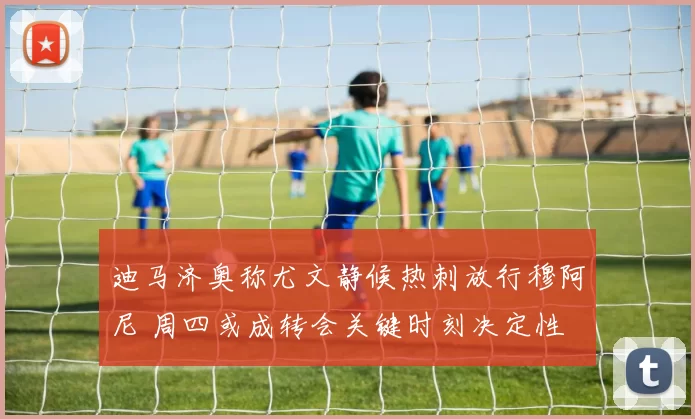 迪马济奥称尤文静候热刺放行穆阿尼 周四或成转会关键时刻决定性